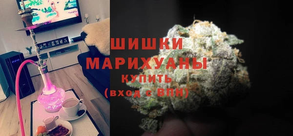 шишки Белокуриха