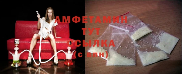 шишки Белокуриха