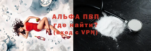 шишки Белокуриха