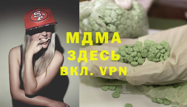 шишки Белокуриха