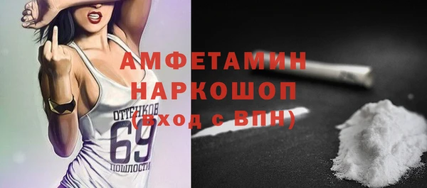 шишки Белокуриха