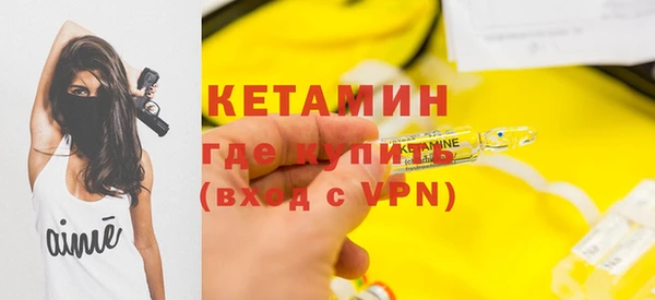 шишки Белокуриха