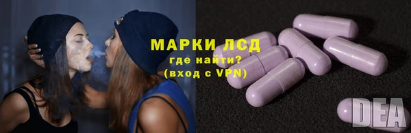 шишки Белокуриха