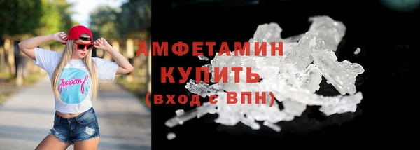 шишки Белокуриха
