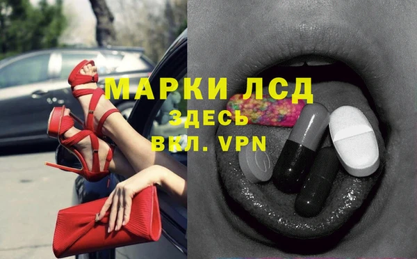 шишки Белокуриха
