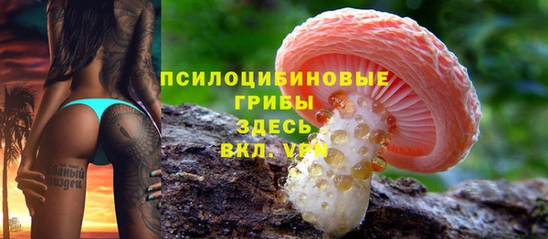шишки Белокуриха
