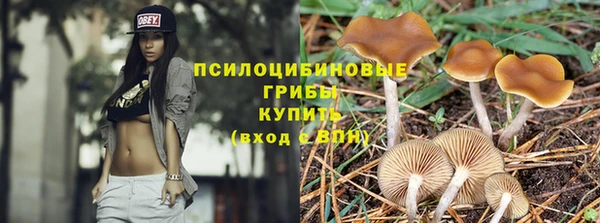 мдпв Беломорск