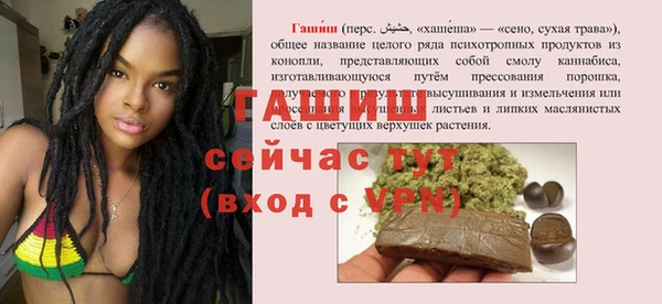 шишки Белокуриха