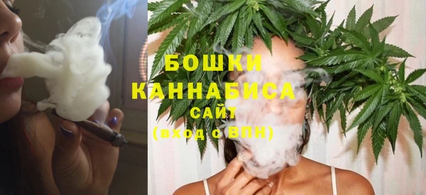 шишки Белокуриха