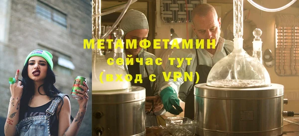 шишки Белокуриха