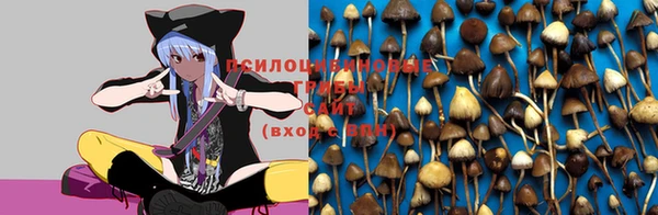 мдпв Беломорск