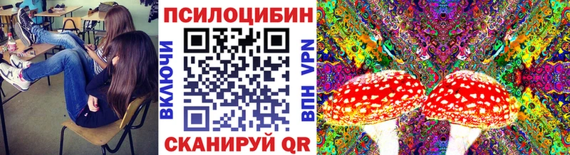 Галлюциногенные грибы мухоморы  Сыктывкар 